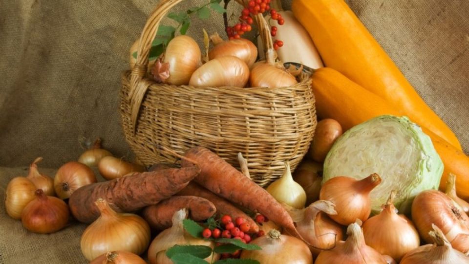 Морковная и луковая мухи не смогут добраться до урожая: дешевые народные средства — мощнейшая защита участка