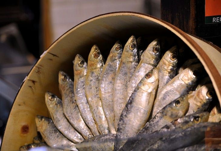 Проще простого: невероятно вкусные блюда из консервов, которые вы никогда не пробовали