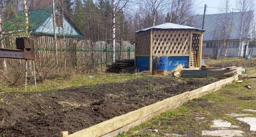 Три ложки на кучу и перегниют даже ветки: быстрый компост без всяких хлопот - земля словно пух