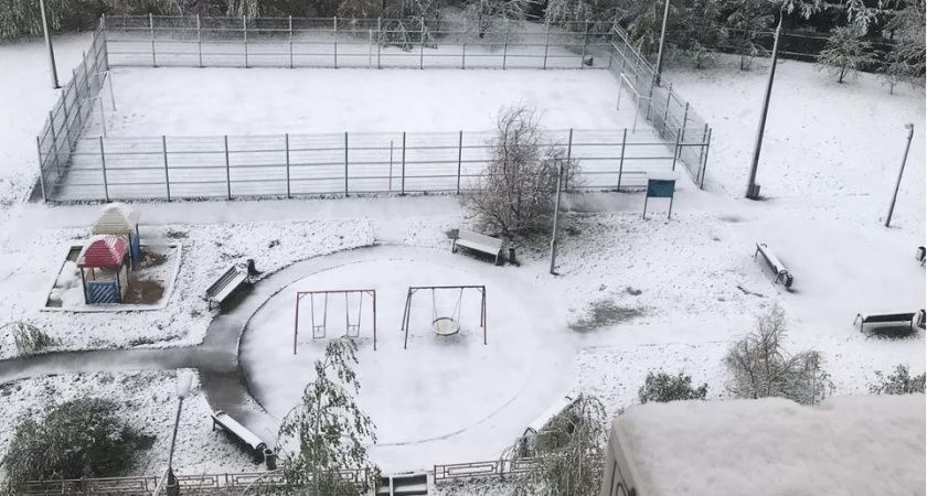 "Заморозки погубят всю рассаду": Вильфанд дал прогноз на вторую половину мая - температура упадет до минусовой