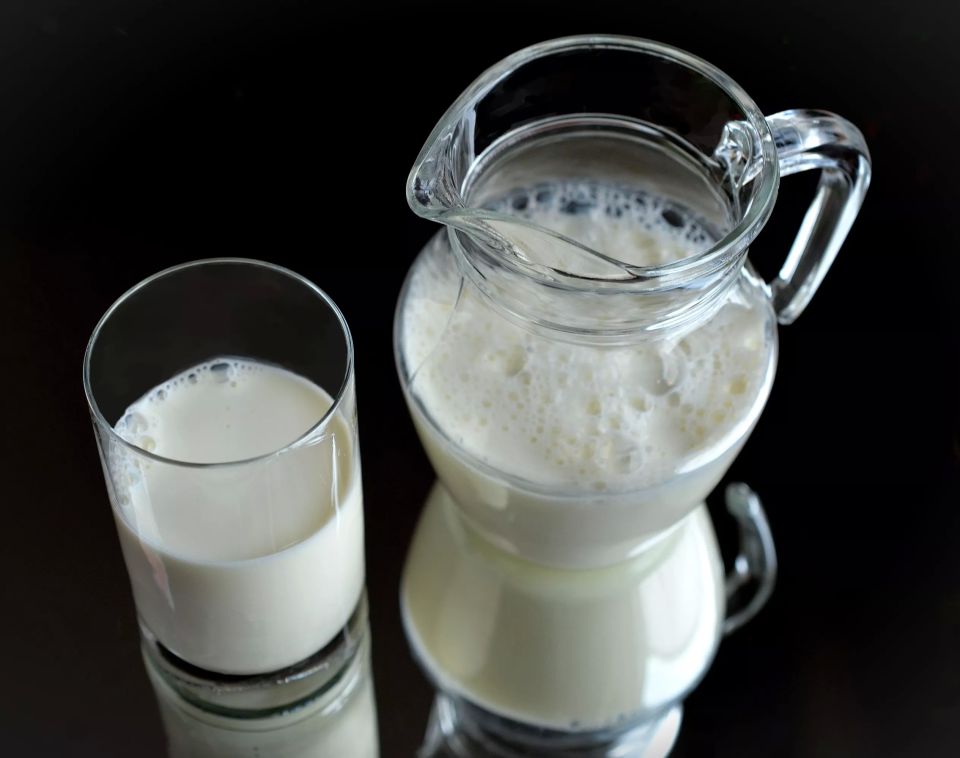 Сырое молоко: как качественный фермерский продукт может убить человека