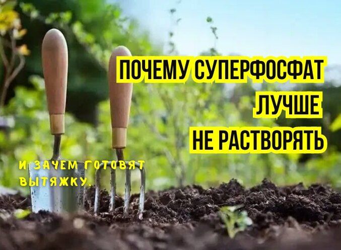 :      ?