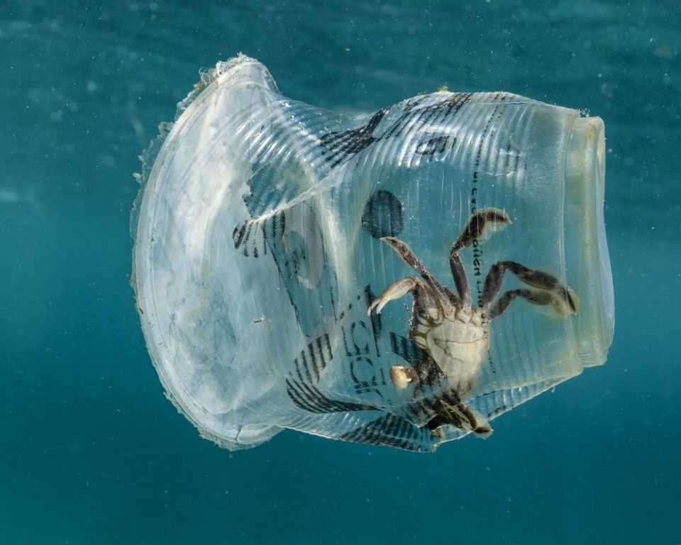  The Ocean Cleanup     :    