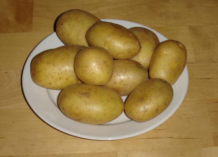 Секреты успешного хранения картофеля: как сохранить урожай до следующего сезона