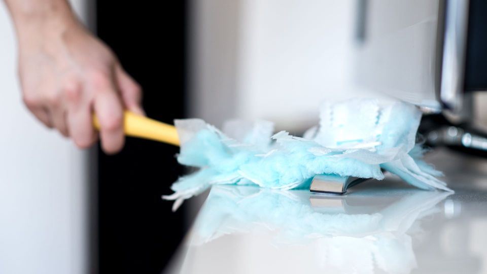 Китайские хозяйки давно забыли о тряпках: все пылинки до единой собирают только так