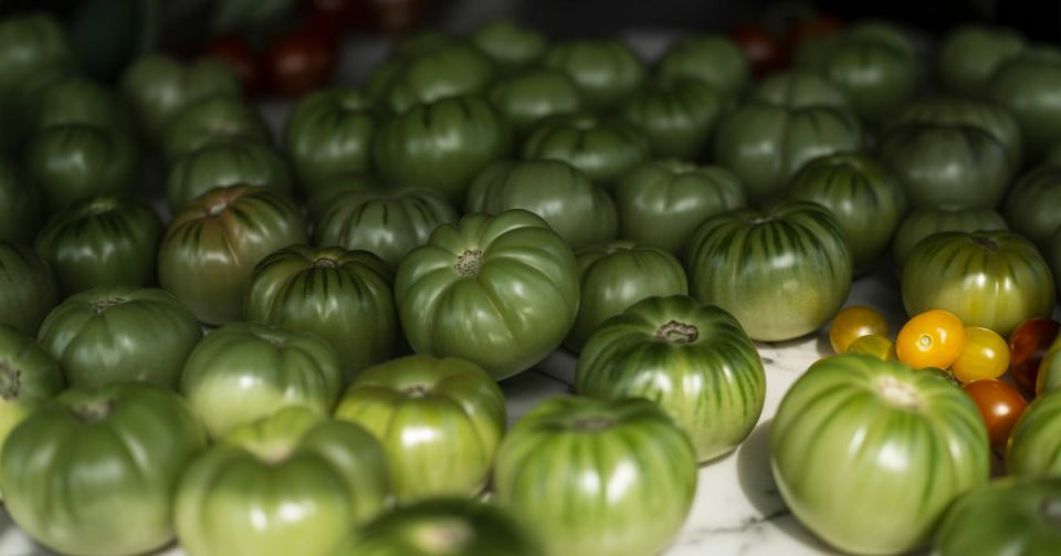 Почему помидоры теряют вкус и как это предотвратить