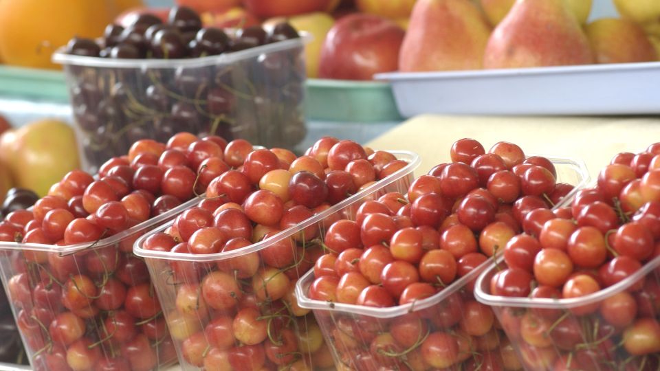 Покупать или подождать: врач-диетолог дала советы по первой черешне