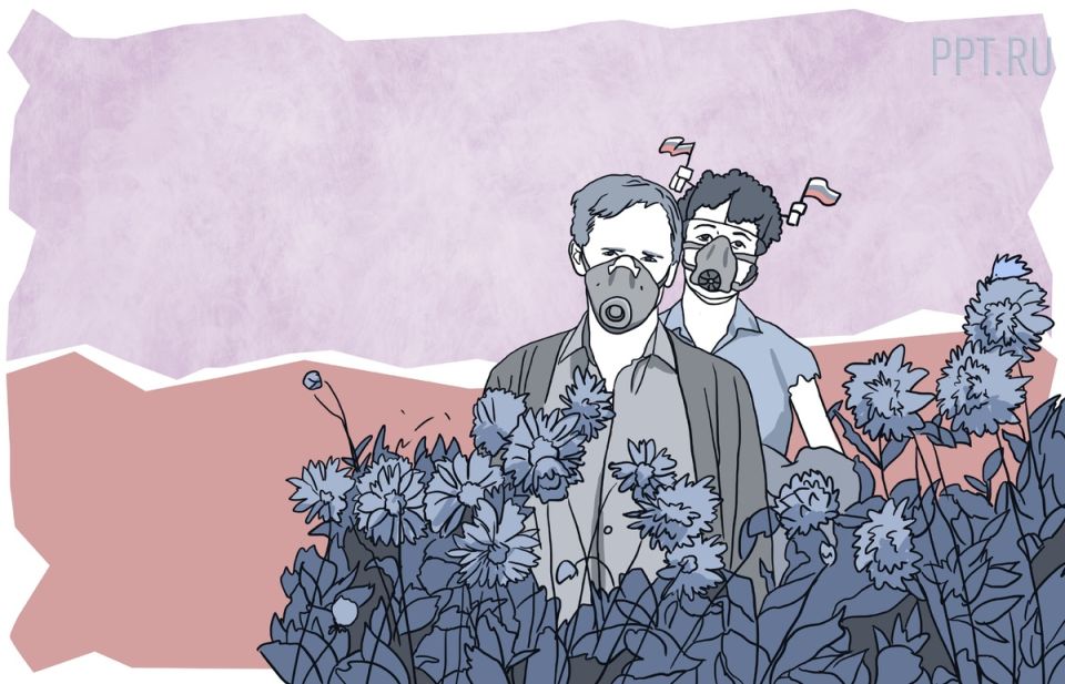 Угроза даче: как сорняк способен забрать ваш участок