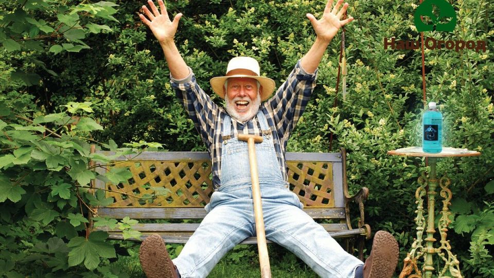 Пенсионерам открывают новые возможности: дачи без налогов и экономия на коммуналке