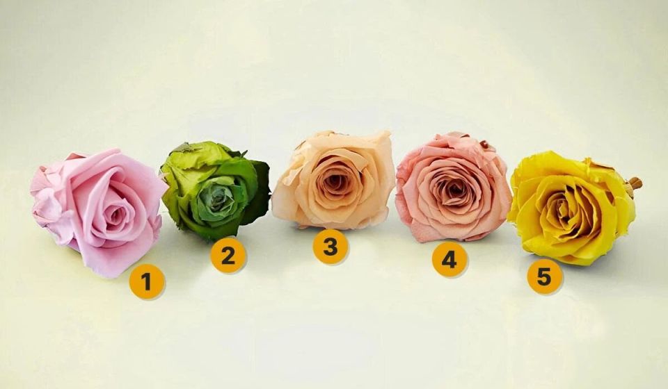 Как выбрать розу: психологический тест, раскрывающий вашу реакцию на стресс