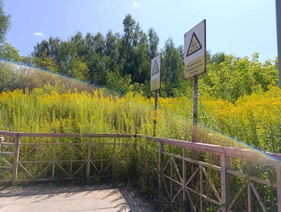 Лето 2025: огородные радости и грозовые сюрпризы на даче