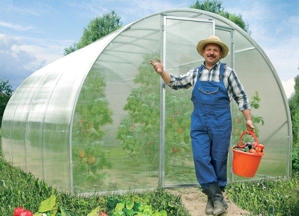 Максимум из минимума: эффективный уход за дачным участком