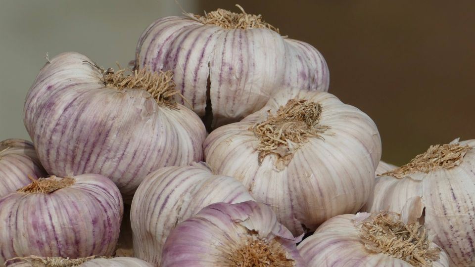 Как быстро измельчить чеснок без специальной давилки: совет от продвинутых хозяек