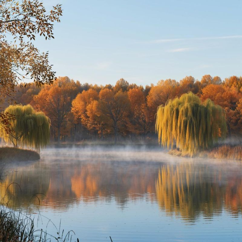 Новые горизонты трудовых отношений: что ожидать в 2026 году