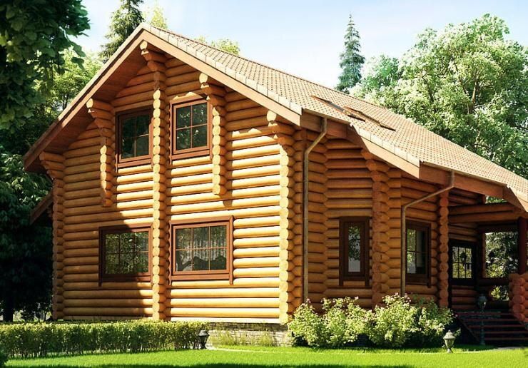 Как защитить деревянные строения: советы по профилактике вредителей и пожара