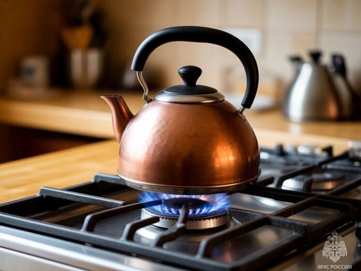 Что делать при запахе газа: простые шаги к безопасному дому