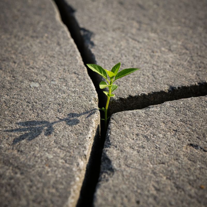 Семья как священное призвание: открываем тайны ежедневных забот