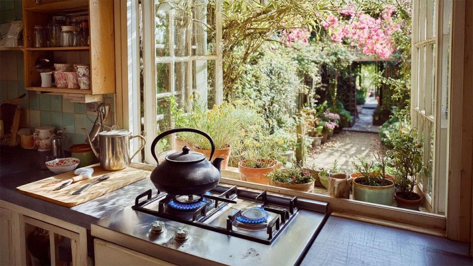 Как провести газ на дачный участок: бесплатный путь к комфорту