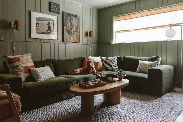  :  color drenching     2025 