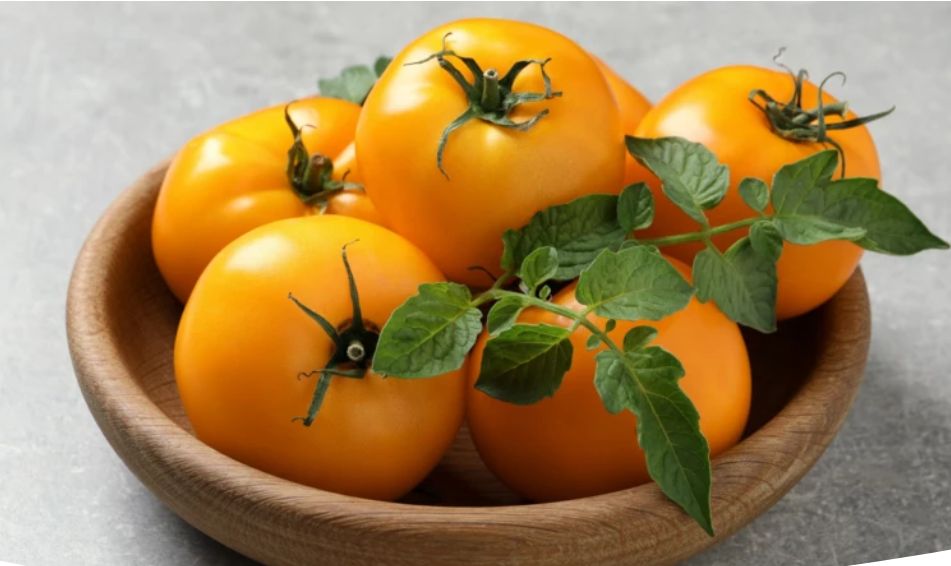 Томаты Хурма: как вырастить сладкий урожай с ярким вкусом