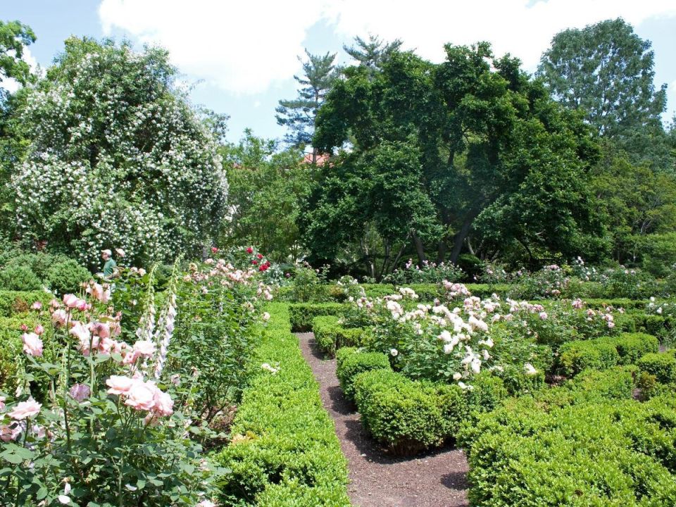 ����� ������ ���: ����� �� �������� ����� ������?