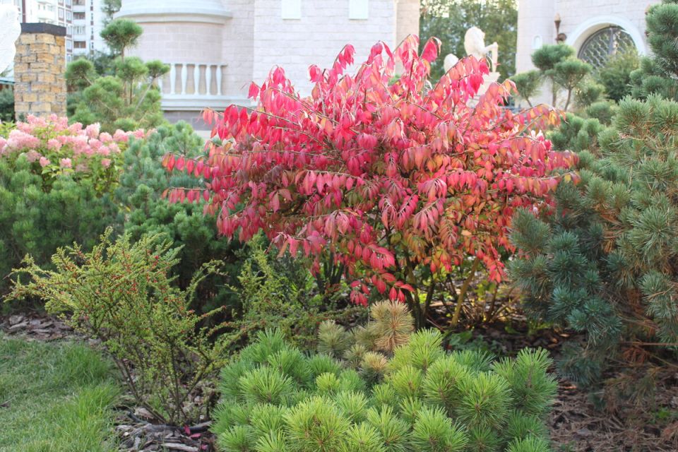 �������� ������������ ���� ��� ������ ��������������