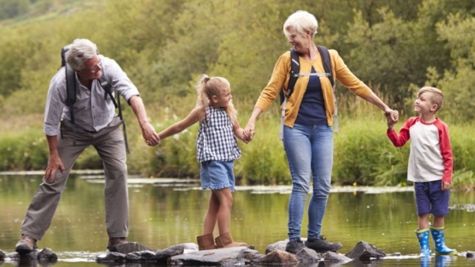 ���������� ������� ����������� �������������� �������� �������