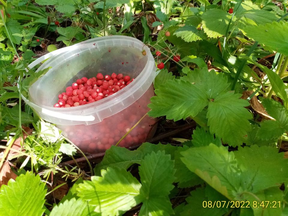 ��� ��������� � ������� ������� ���������: ������ �� ����� � ����� ������