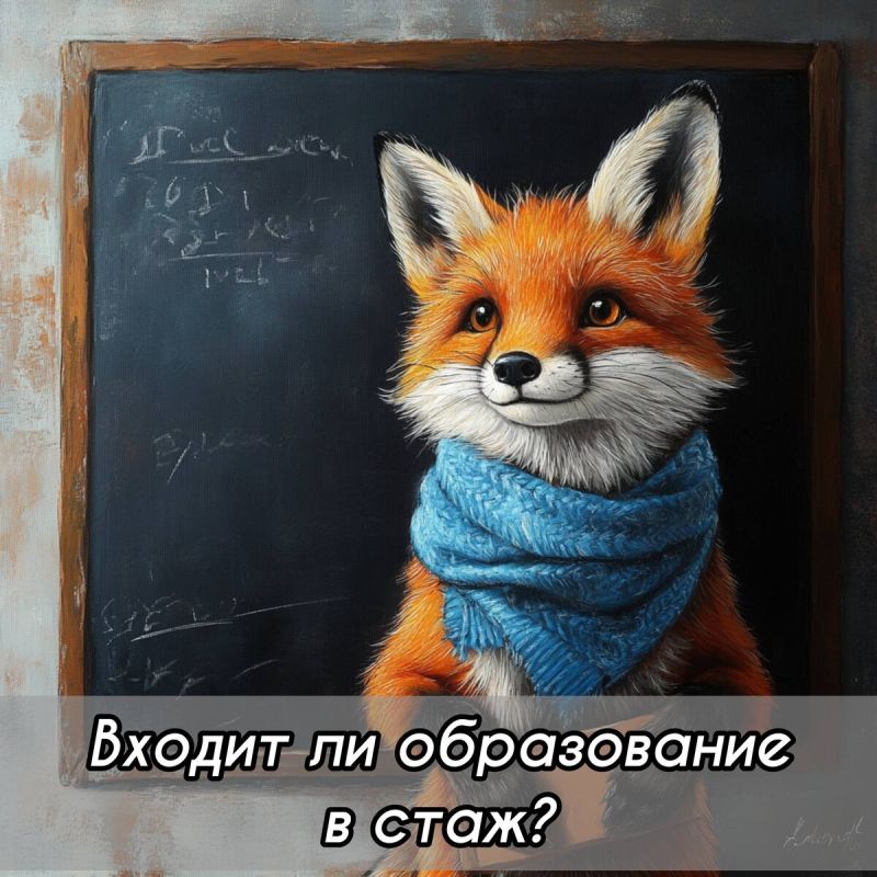 Образование и трудовой стаж: обсуждение продолжается