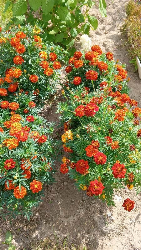 Секреты гармоничного завершения дня