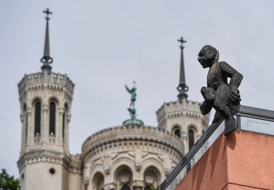 ������ �� ���������� ������������ ��� ���������: ���������� ��� �������������?