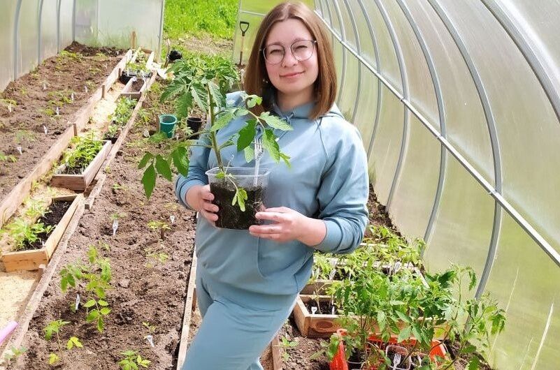 Май в саду и огороде: как успешно планировать работы месяца