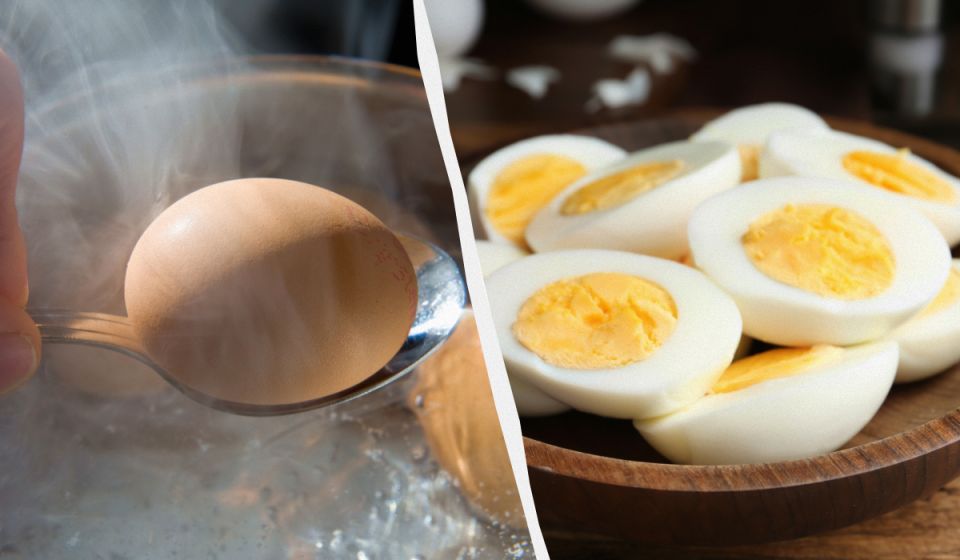 ��� ������ ���������� ���������� ����: ������� ����� �� ��������