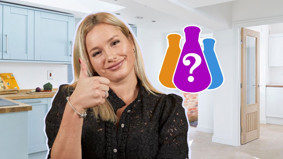 ������ ����� �������� � ������ ����: ������ �������� ��� ��������� �����������