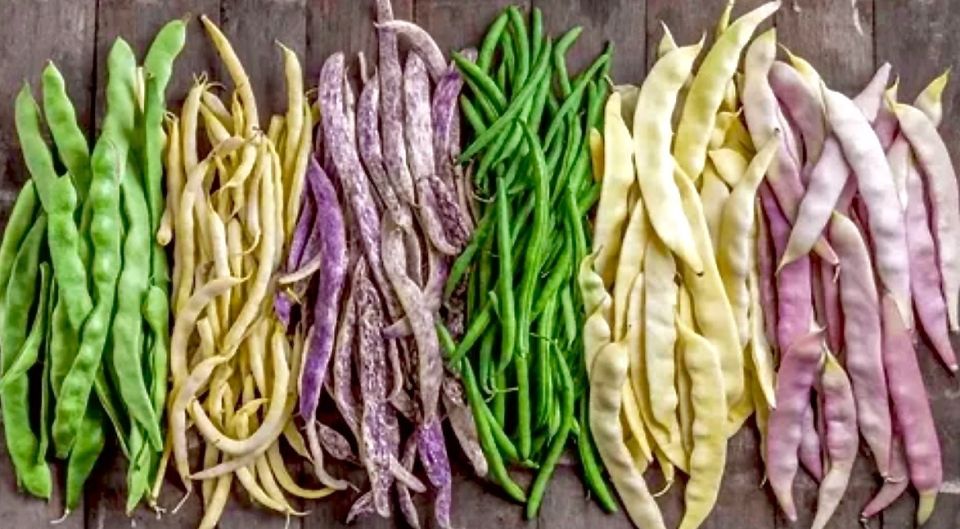 ��������� �� ����: ��� ������� ���������� ������ � ������� � ������