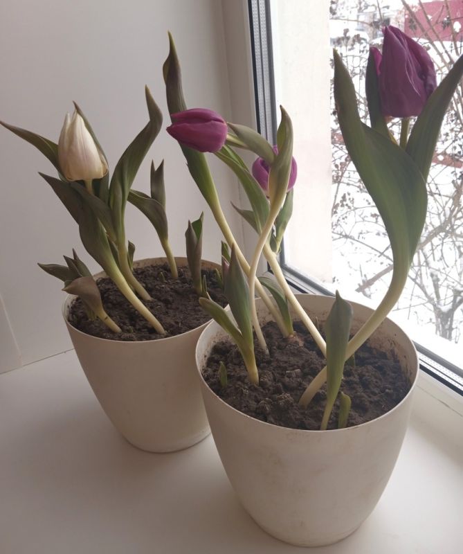 �������� � ������ ����: ��� �������� �������� � ������ �����