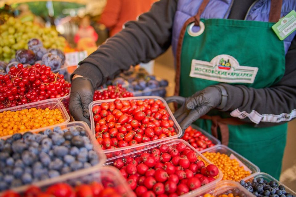 ������� ������� ������ �������� �������