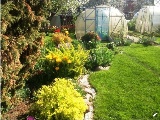 ������� �� �������������: ������������ � ���������� �� ��������