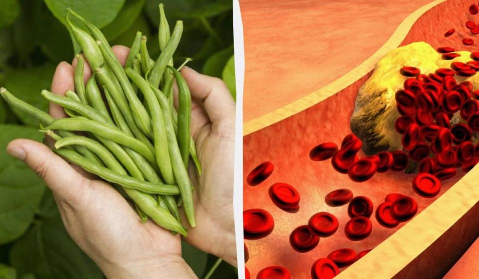 ������� ������: ������ �������� ������ � �������� �����������