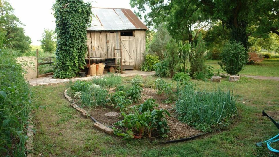 ����� �����: ��� ����������� ������ ������� � ������ ������