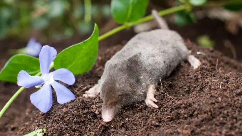 ����� �� ����: ��� �������� ������ � ������� 5 ������ �������������