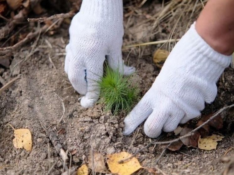 �� ������� ����� �������� ����� 187 ����� ������� ��������