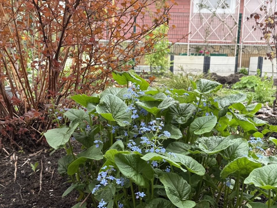 �������� ���������: ����� ������ ������ � ����� �������� ����� �������