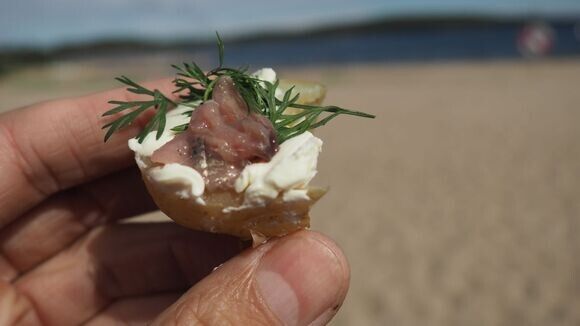 Самые шокирующие блюда мира, которые заставят вас содрогнуться