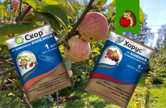 ��������� ���� � ������: ��� ������� ������ �������� ��� ����� ��������