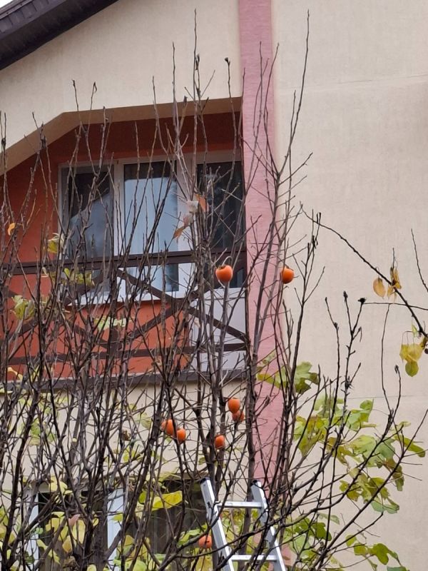 ������ �����: ������������ ������� � ������ � ����