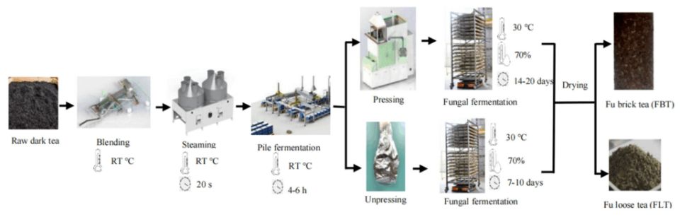 ��������� �� ������ ������ �������������: ��� ����� ������ �� �����������