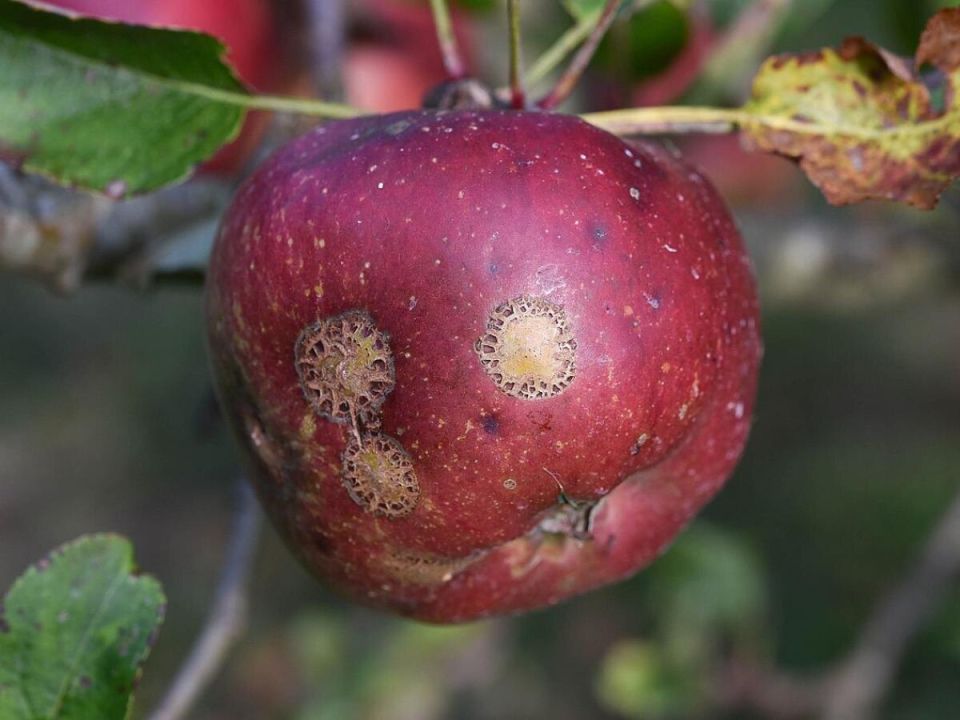 ��� �������� � �������� ����� �� ������� � ������ ��� ����� � ������ ������