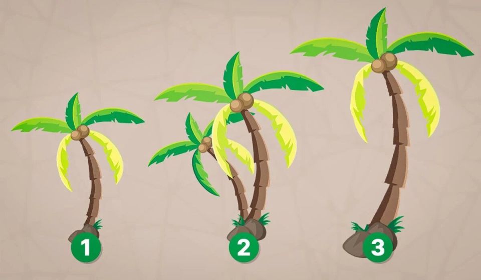 Какой вы спокойный человек по тесту пальм и чего он может вам подсказать