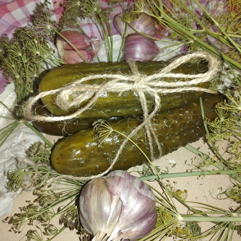Как простой урожай превращается в хрустящие соленья в собственном соку